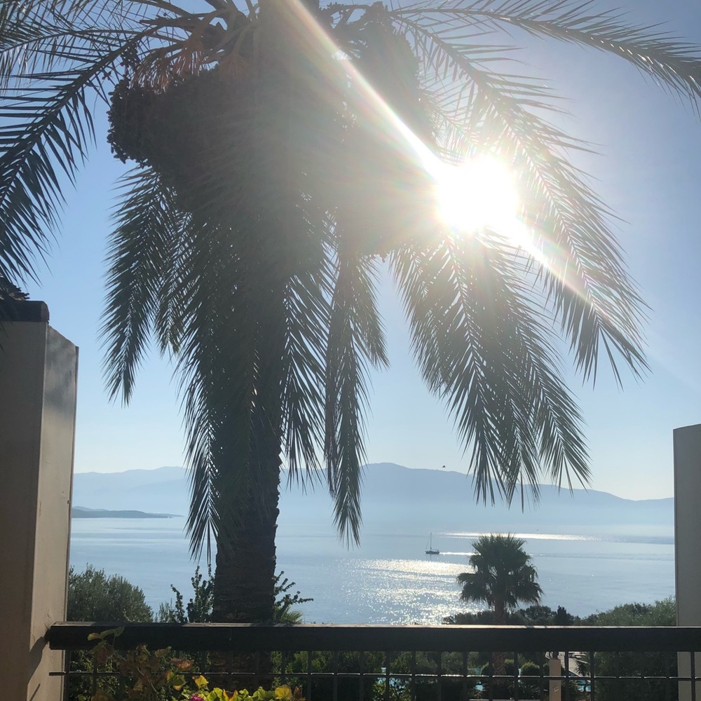 Meet your Posher, Kim